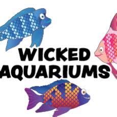 wicked aquariums lawnton|the.